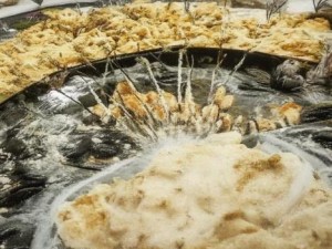 腹肌局部按压疼痛原因分析及解决方案探讨