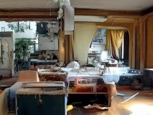 菊花台的璀璨人文艺术之旅 探寻日本最大文化瑰宝的魅力与传承