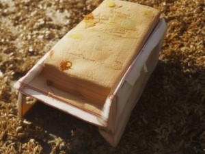 翼星求生树液怎么获得,翼星求生树液获取攻略分享及实用技巧解析