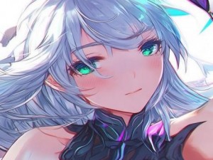 王者荣耀S12赛季T0级英雄解析与玩法攻略，助你轻松上分