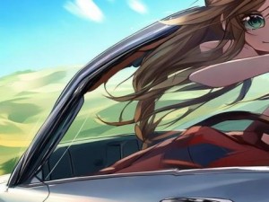 《青春公路：两兄弟的驾驶冒险与梦想追逐》