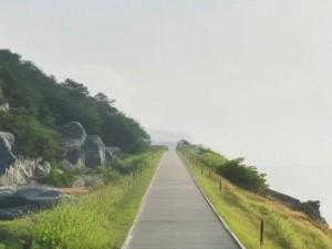 姐姐的温柔呼唤在心间回荡，岁月静好时光如歌