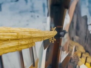 依卡劳特厉害吗、依卡劳特到底有多厉害揭秘他的实力与成就分析