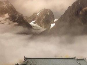 地沟油婊的含义及其显著特征解析
