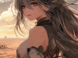 无人区一码二码三码四码的区别解析与应用探讨