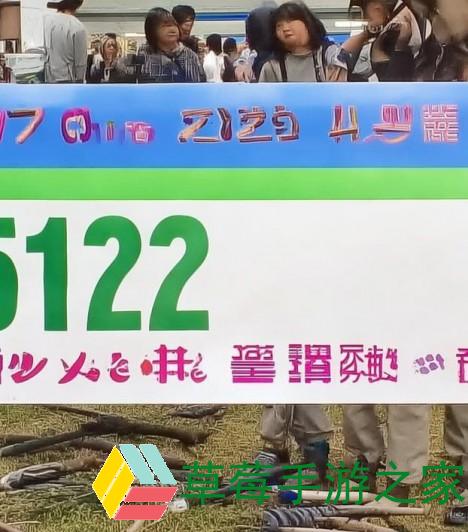 502 Bad Gateway错误解析与解决方案探讨