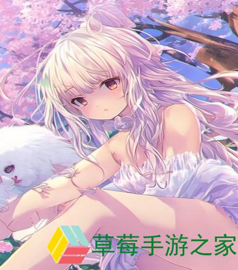 猫咪最新地域网名是什_猫咪最新地域网名是什么懂的都懂灵动倩影
