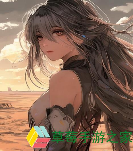 无人区一码二码三码四码的区别解析与应用探讨