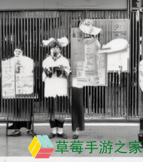 成色好的Y31标准解析与评估方法详解