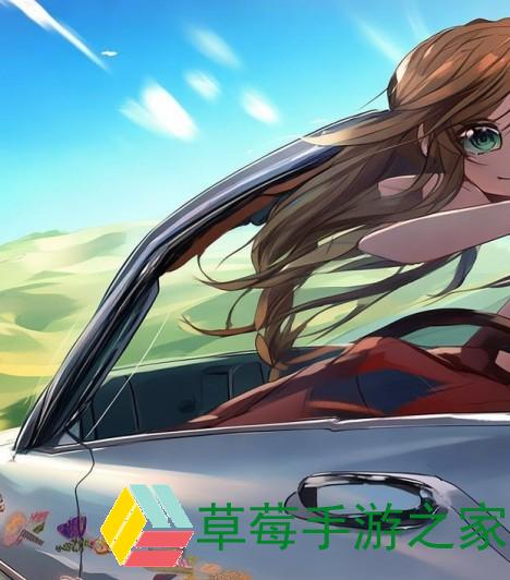 《青春公路：两兄弟的驾驶冒险与梦想追逐》